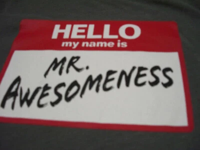 Camisa Hello My Name Is Mr. Awesomeness Desteñida Gloria Talla 6 7 Foto 1 de 4