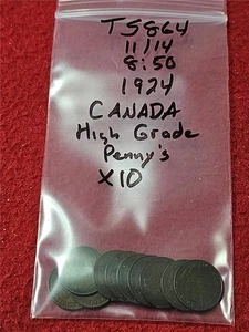 Picker's Delight KANADA 1924 King George V HIGH GRADE Small Cents X10 #T5864 - Bild 1 von 3