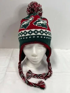 NHL Minnesota Wild Pom Oreja Solapa Sombrero Tejido - Imagen 1 de 13