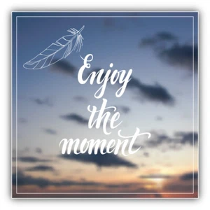 Enjoy The Moment Spruch Auto Autoaufkleber Aufkleber - "GRÖSSEN" - Bild 1 von 1