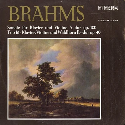 BRAHMS Violin Sonata Op.100 Horn Trio Op.40 SCHERZER DAMM WEBERSINKE Eterna Mono - Image 1 of 3