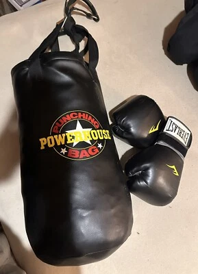 Punching Bag- Heavy Bag And Boxing Gloves - Image 1 of 2