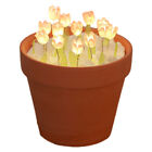 Led Tulip Night Light Battery Operated Flower Pot Lamp Romantic Home Decoration