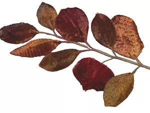 vintage 1940s millinery velvet leaves copper rust 1 spray made in Japan - Picture 1 of 3