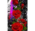 Diamond Painting Roses Flower Water Dew Design Embroidery House Wall Decorations