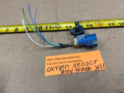 Ford Explorer 2006-2010 sensor de oxígeno azul hembra x11 conector coleta Foto 1 de 4
