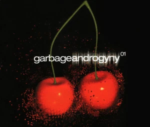 Garbage Maxi CD Androgyny - CD1 - UK (M/M) - Picture 1 of 4