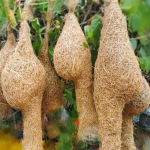 Set 4 Bird Nest House Hanging Birdhouse Woven Roosting Abandoned Nest Mix size - Picture 1 of 4