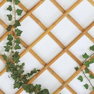 TRALICCIO 90X240 BAMBOO ESTENSIBILE - Foto 1 di 2