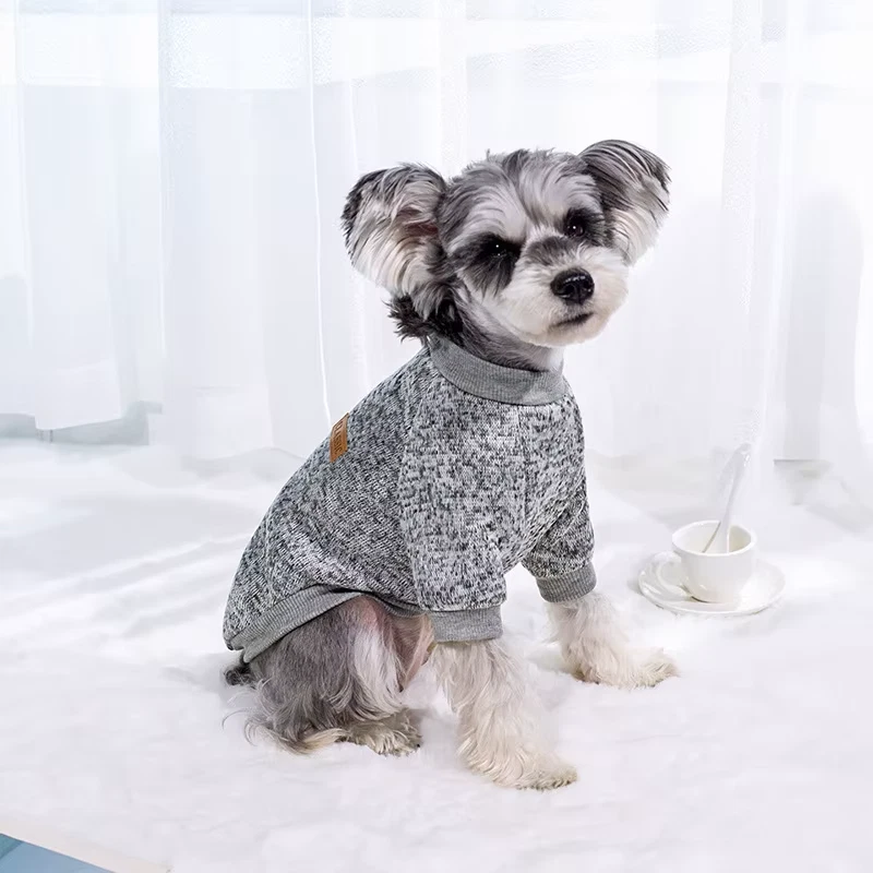  M Girl Dog Knit Sweater Winter Coat Pet Clothes for Maltese Teacup Yorkie - Image 1 of 1