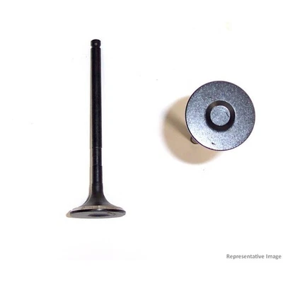 Válvula de escape del motor DNJ EV4263 para modelos Volvo 99-15 seleccionados Foto 1 de 4