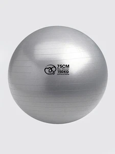 Yoga Mad Anti-burst Swiss Exercise Gym Core TrainingBall With Pump 75cm - Silver - Picture 1 of 2