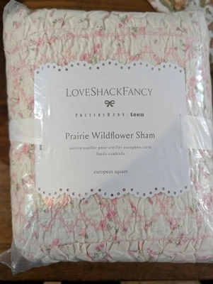 POTTERY BARN TEEN LoveShackFancy Prairie Wildflower Euro Sham-Rosa-NUEVO CON ETIQUETAS Foto 1 de 3