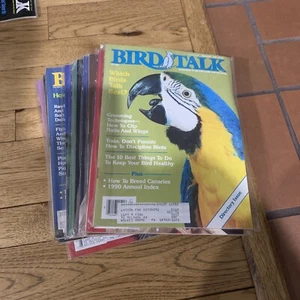 BIRD TALK MAGAZINE 1991 Complete Year Diet Health Fitness Bourke Parakeet 12 PC - Picture 1 of 4