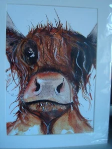 Hochlandkuh montierter Druck von Cath Ward (35,5 cm x 28 cm) - Bild 1 von 2