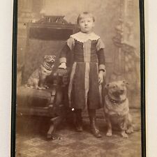 Antique Cabinet Card Photo Girl Child Sweet Terrier Dog Pug Statue Cincinnati OH