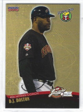 2015 Lancaster Barnstormers (Atlantic League) D.J. Boston