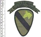 US Army Vietnam 1st Air Cavalry Division 9th RECON Squadron Apache Head Hunters 