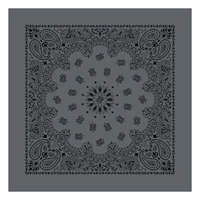 Bandana Austin Carbón/Paisley Negra, 27"x27", Hecha en India, Hav-A-Hank, DIVERTIDA Foto 1 de 4
