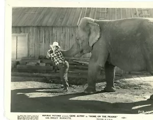 CASA NELLA PRATERIA Elefante 1939 foto film d'epoca 8x10 - Foto 1 di 1