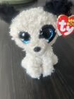 Ty Beanie Boos - GATSBY the Dog 6" (Barnes & Noble Exclusive) NEW MWMT