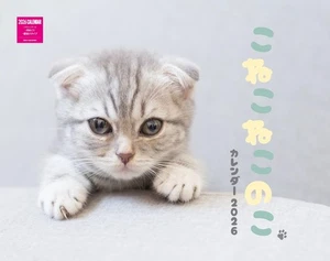 Kitten Kitten Calendar 2026 Monthly/Wall Hanging Neko Publishing Calendar 2 317 - Picture 1 of 9