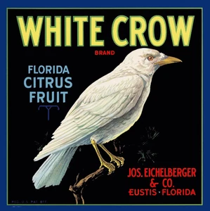 f55 Eustis Florida White Crow Orange Citrus Fruit Crate Label Fridge Magnet - Picture 1 of 1