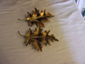 Matching Pair of 2 Gold Leaf Shape Antique Tin Curtain Tie Backs  - Picture 1 of 2