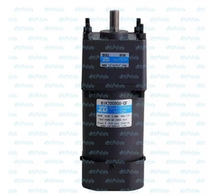 UN Motor Nuevo ZD 6IK200RGU-CF 6GU60K 200W 220V - Imagen 1 de 1