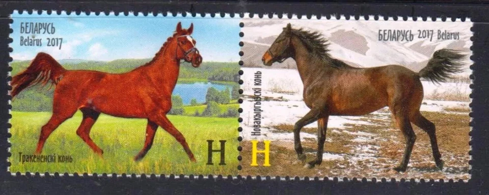 Bielorrusia 2017. Fauna. Caballos - Edición conjunta con Kirguistán. MNH Foto 1 de 1