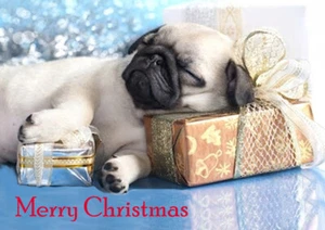 MOPS WELPE MIT WEIHNACHTSGESCHENKEN EINZELNER HUND DRUCK GRÜSSUNG WEIHNACHTSKARTE - Bild 1 von 1