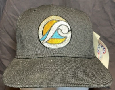 NWT! Vintage WEST MICHIGAN WHITECAPS Fitted Hat MLB Baseball 90's DeLong 6 7/8 - Image 1 of 4