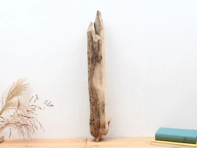 Treibholz Stamm 66cm für Lampen, Gartendeko, Terrarium, Schwemmholz zum basteln - Bild 1 von 4