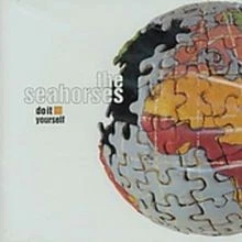 Do It Yourself von Seahorses,the | CD | Zustand sehr gut - Bild 1 von 2