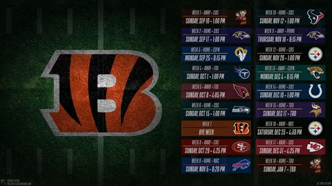 The Cincinnati Bengals 2023 Regular Season Schedule Poster Multiple sizes Cover