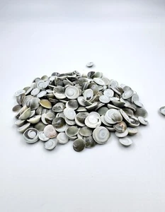 Chakra Gomti Nero, Pietra Gomti Rara Naturale per Vastu ed Energia Spirituale - Foto 1 di 5