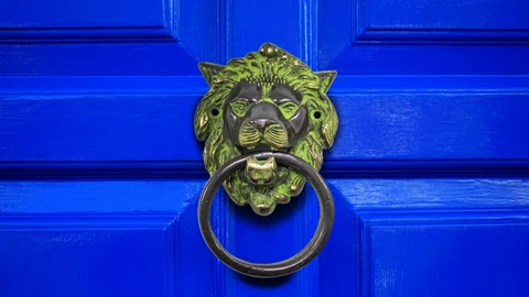 Brass Vintage Nautical Lion Door Knocker Green Finish Antique Home Decor Gift Cover