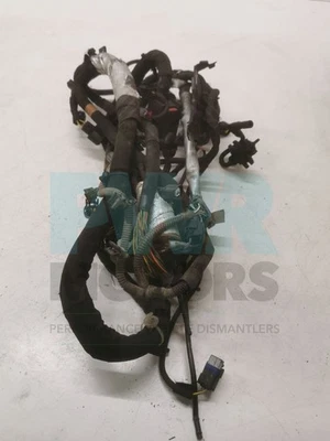 Range Rover L322 TDV8 Engine Wiring Loom Facelift Vogue LR044101 - Image 1 of 4