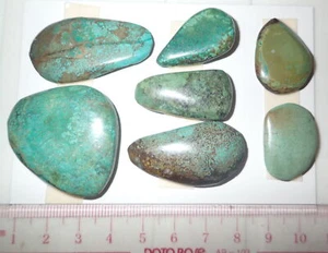 Cabujón de piedra turquesa forma libre plana 202,5 quilates 7 piezas 40,5 gramos - Imagen 1 de 3