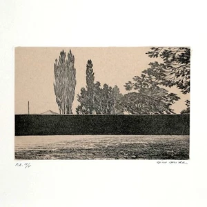 Original Print Etching Art Guide Collecting Interior Design 35X25Cm - Picture 1 of 1