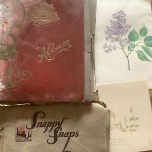 Vintage 20th Century Sketchbooks Over 100 Botanical Watercolour Sketches. Signed