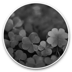 2 x Vinyl Aufkleber 25 cm (BW) - Lucky Green Clover Irish Fun #38039 - Bild 1 von 8