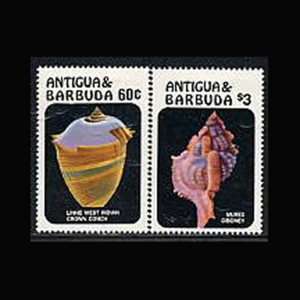 Antigua, Sc #945-46, MNH, 1986, Seashells, Conch shells, HGI-A - Picture 1 of 1