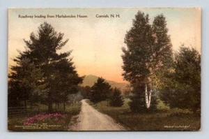Cornish New Hampshire Harlakenden House Roadway - farbige Albertype Postkarte - Bild 1 von 2