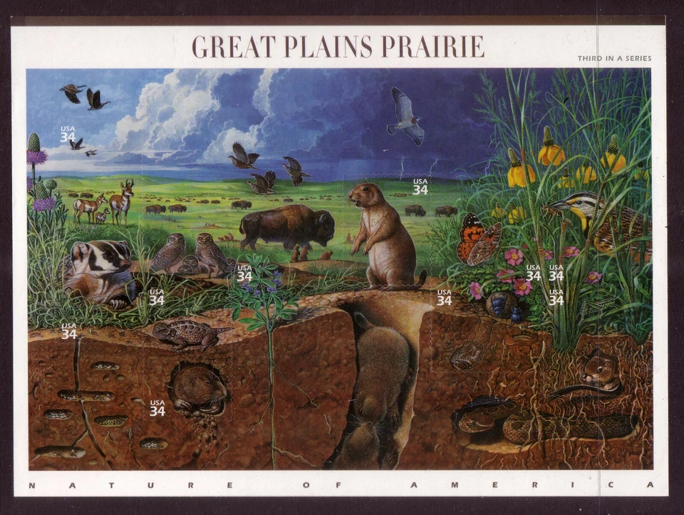 US #3506 Great Plains Prairie 34c Complete Sheet of 10 Mint Never Hinged - Image 1 of 1