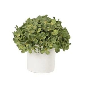 Hydrangea Fake Flowers in Vase, Artificial Flowers with Hydrangea, Green - Picture 1 of 8