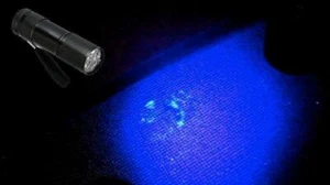 Sperma & Samen Erkennung Betrugsdetektor Kit schwarz helle Kleidung UV Lite Lab - Bild 1 von 24