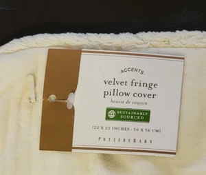 Ivory Velvet Fringe Pillow Cover 22 X 22 in Pottery Barn - Picture 1 of 10