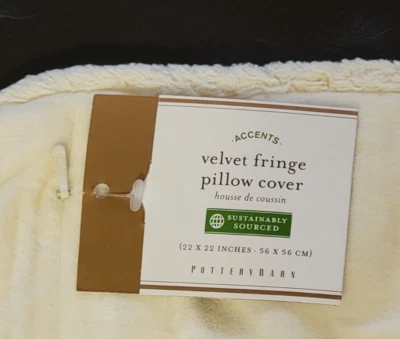 Ivory Velvet Fringe Pillow Cover 22 X 22 in Pottery Barn - Image 1 of 4
