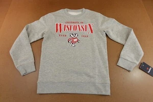 Wisconsin Badgers Fanatics Mens Size Small Heather Gray Fleece Sweatshirt NWT - Picture 1 of 10